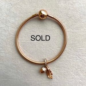 **SOLD **Pandora Rose bracelet and dangle Charm